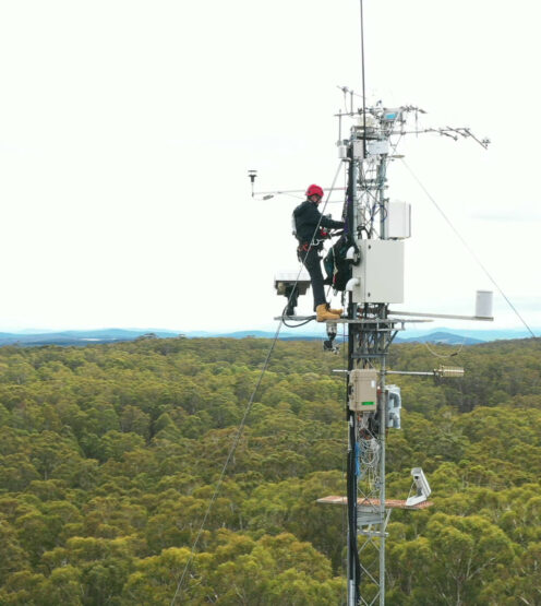 Environmental monitoring sensor Installed at the Tumbarumba experimental site, Australia